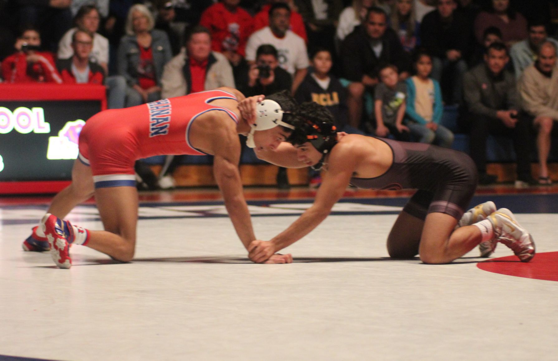 Battle of the Bears